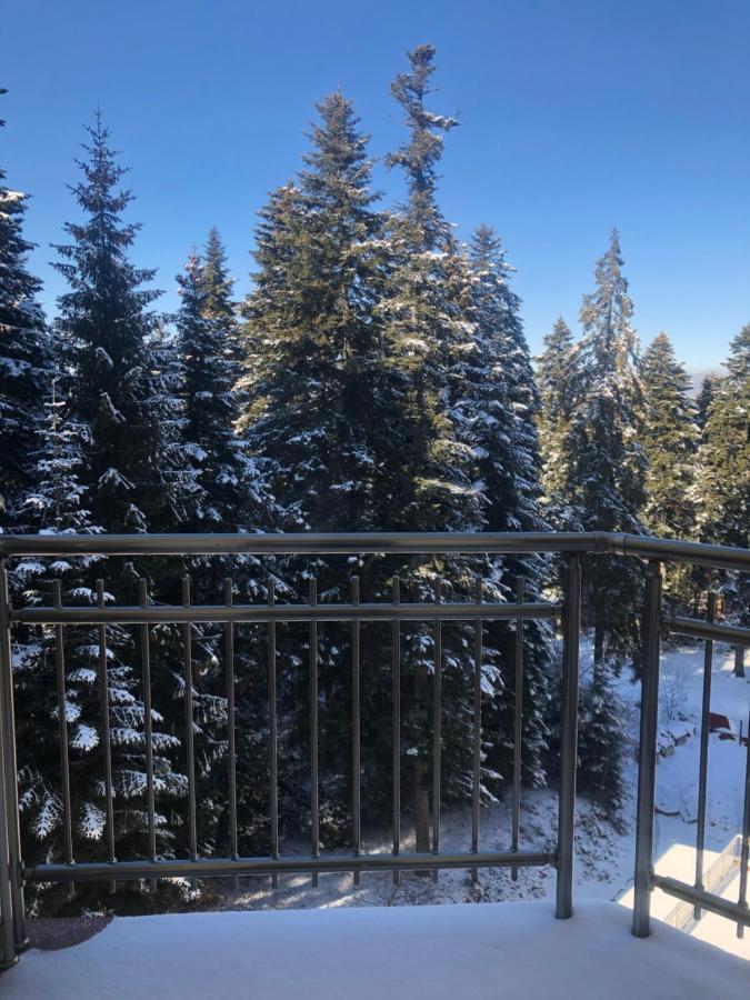 Flora Apartment 612A Borovets Exterior photo